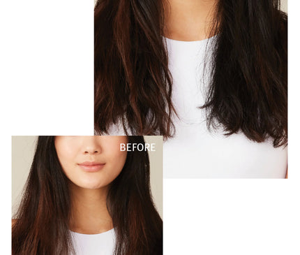 L'Alga Sealight Shampoo