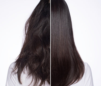 Nº.0 Intensive Bond Building Treatment