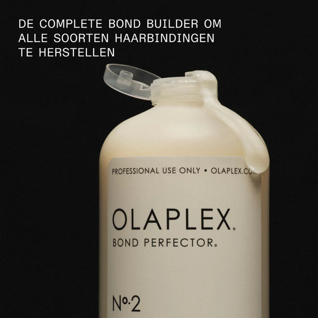 Olaplex Salon Intro Kit & Olaplex No.2 Bond Perfector 2000ml