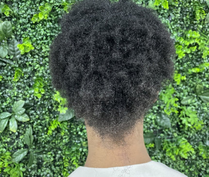 Honma Tokyo Coffee Premium Keratine Set 3x 1000 ml (new bottle)