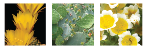 L’Anza Keratin Healing Oil Lustrous Finishing Spray 350 ML