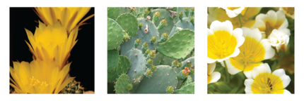 L’Anza Healing Style Dry Texture Spray 300 ML