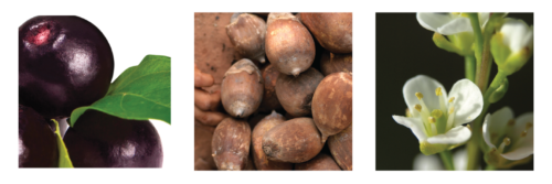 L’Anza Keratin Healing Oil Bounce Up Spray 180 ML